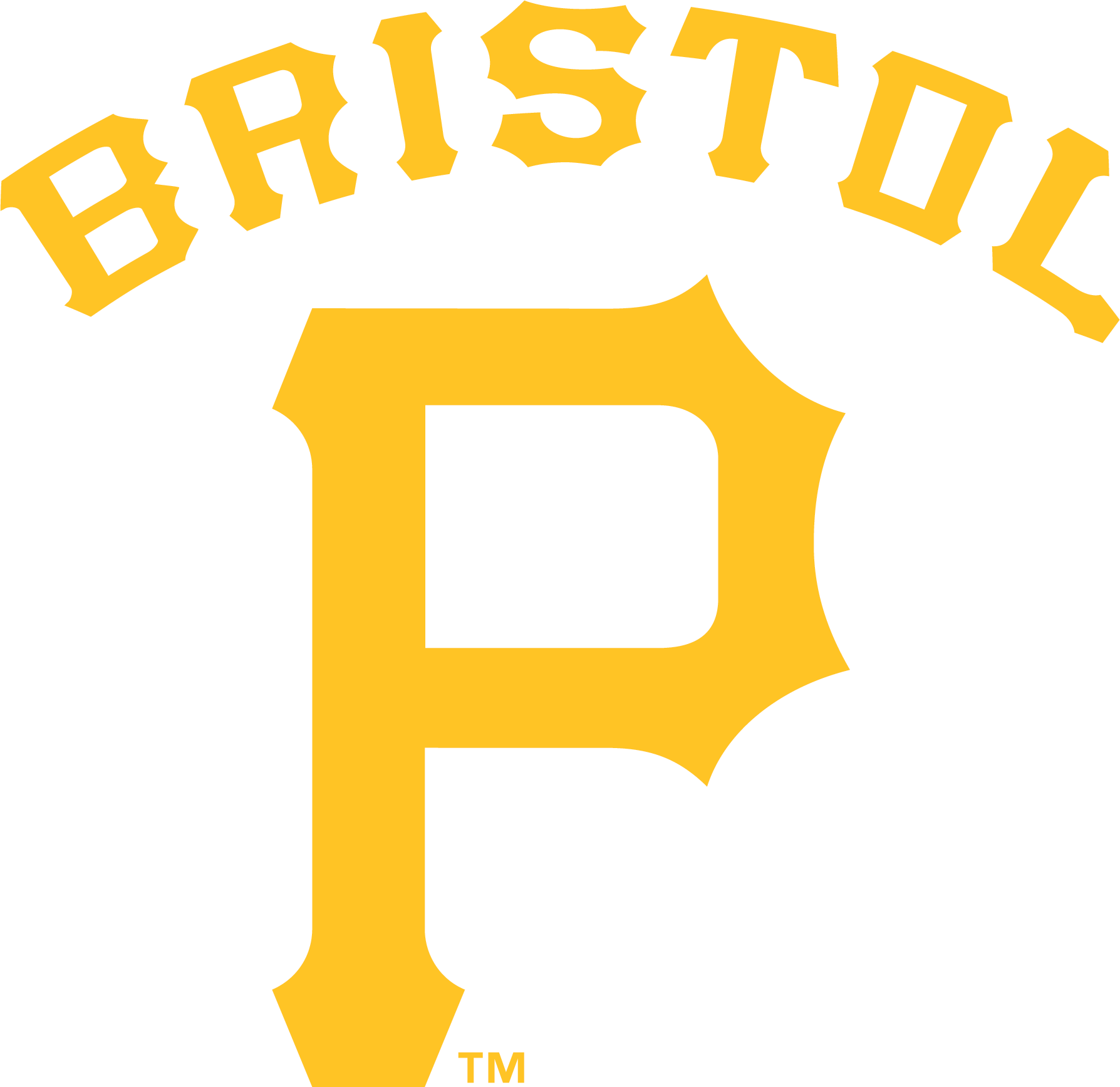 Bristol Pirates 2014-Pres Primary Logo iron on paper